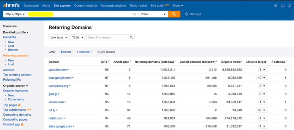 Ahrefs Site Explorer Dashboard