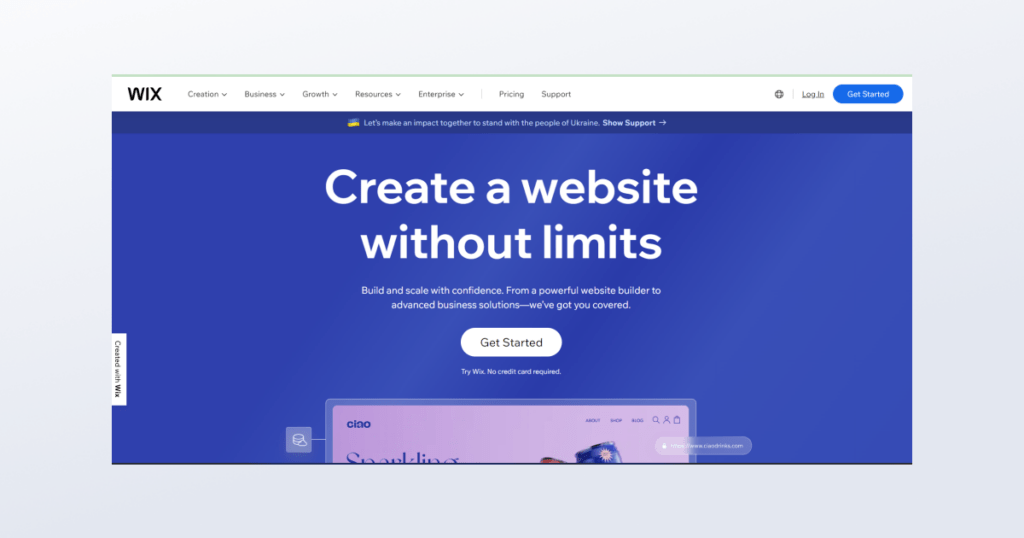 Wix landing page