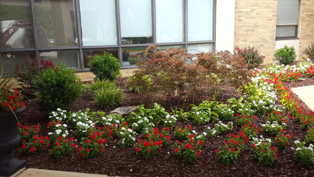 DMF Landscaping website case study