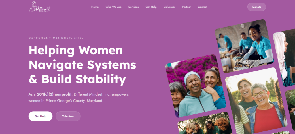DMI website screenshot 1