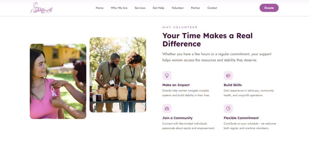 DMI website screenshot 4